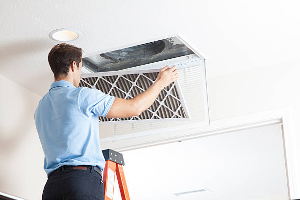 Best HVAC companies near me  in Buhl, MN